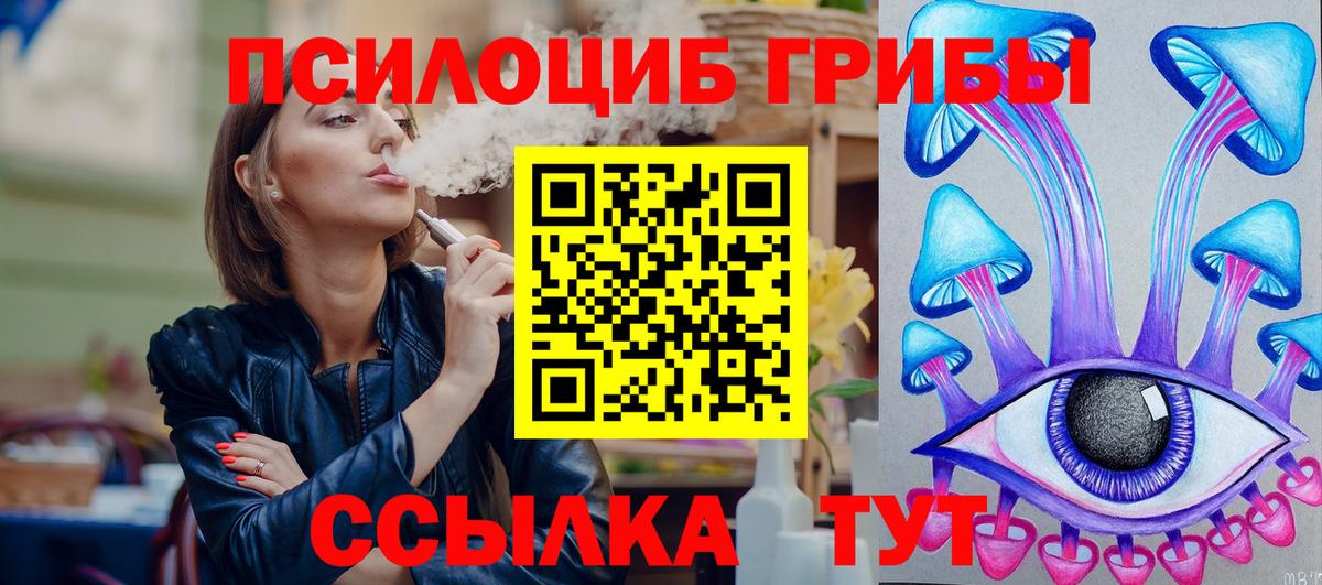 Галлюциногенные грибы Psilocybe Нижний Новгород