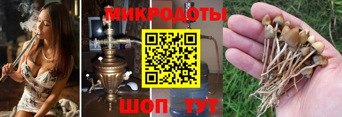 Нижний Новгород  купить наркотики цена  Вход с VPN  Галлюциногенные грибы мицелий 